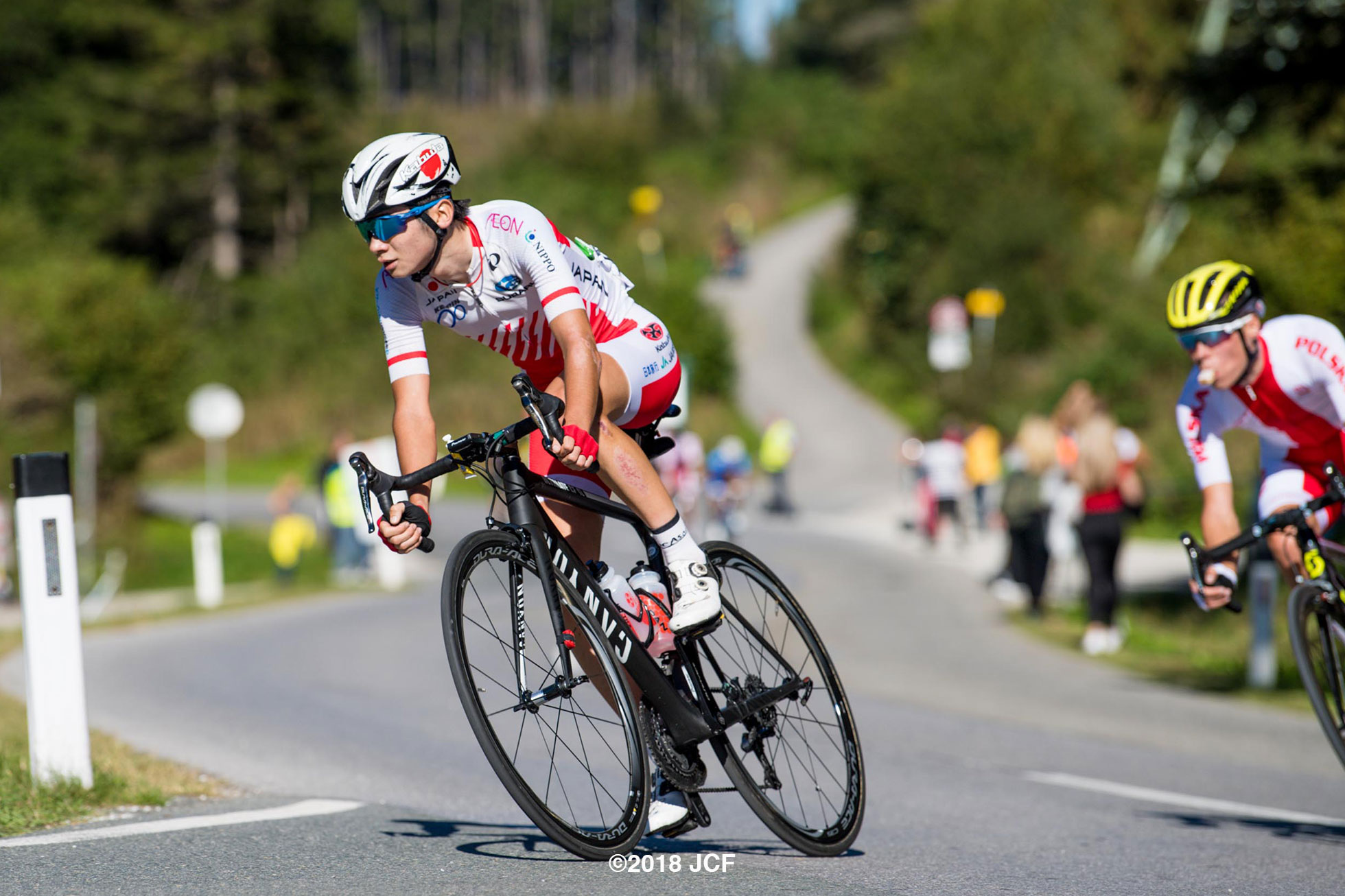 ロードレース トップの選手の自転車