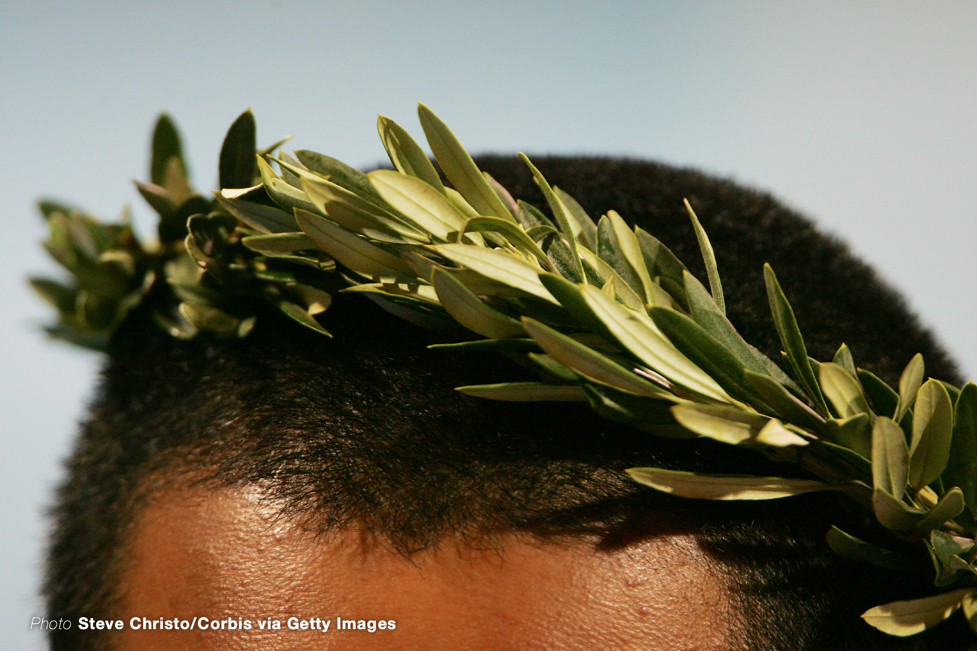 The olive wreath also known as kotinos ,was the prize for the winner at the ancient Olympic Games. It was an olive branch, of the wild- olive tree that grew at Olympia, it was intertwined to form a circle or a horse-shoe. (Photo by Steve Christo/Corbis via Getty Images)