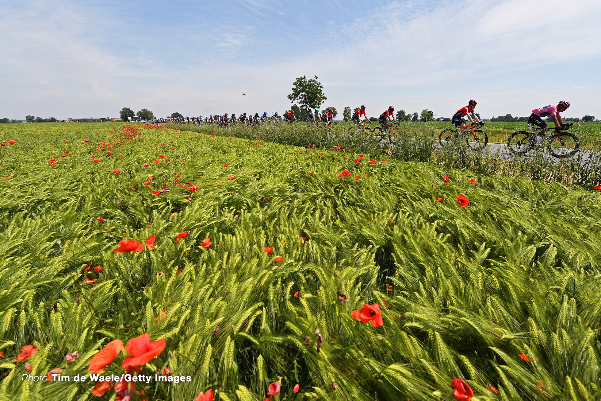 STRADELLA, ITALY - MAY 27: Egan Arley Bernal Gomez of Colombia and Team INEOS Grenadiers Pink Leader Jersey & The Peloton passing through a wheat field during the 104th Giro d'Italia 2021, Stage 18 a 231km stage from Rovereto to Stradella / Landscape / #UCIworldtour / @girodiitalia / #Giro / on May 27, 2021 in Stradella, Italy. (Photo by Tim de Waele/Getty Images)