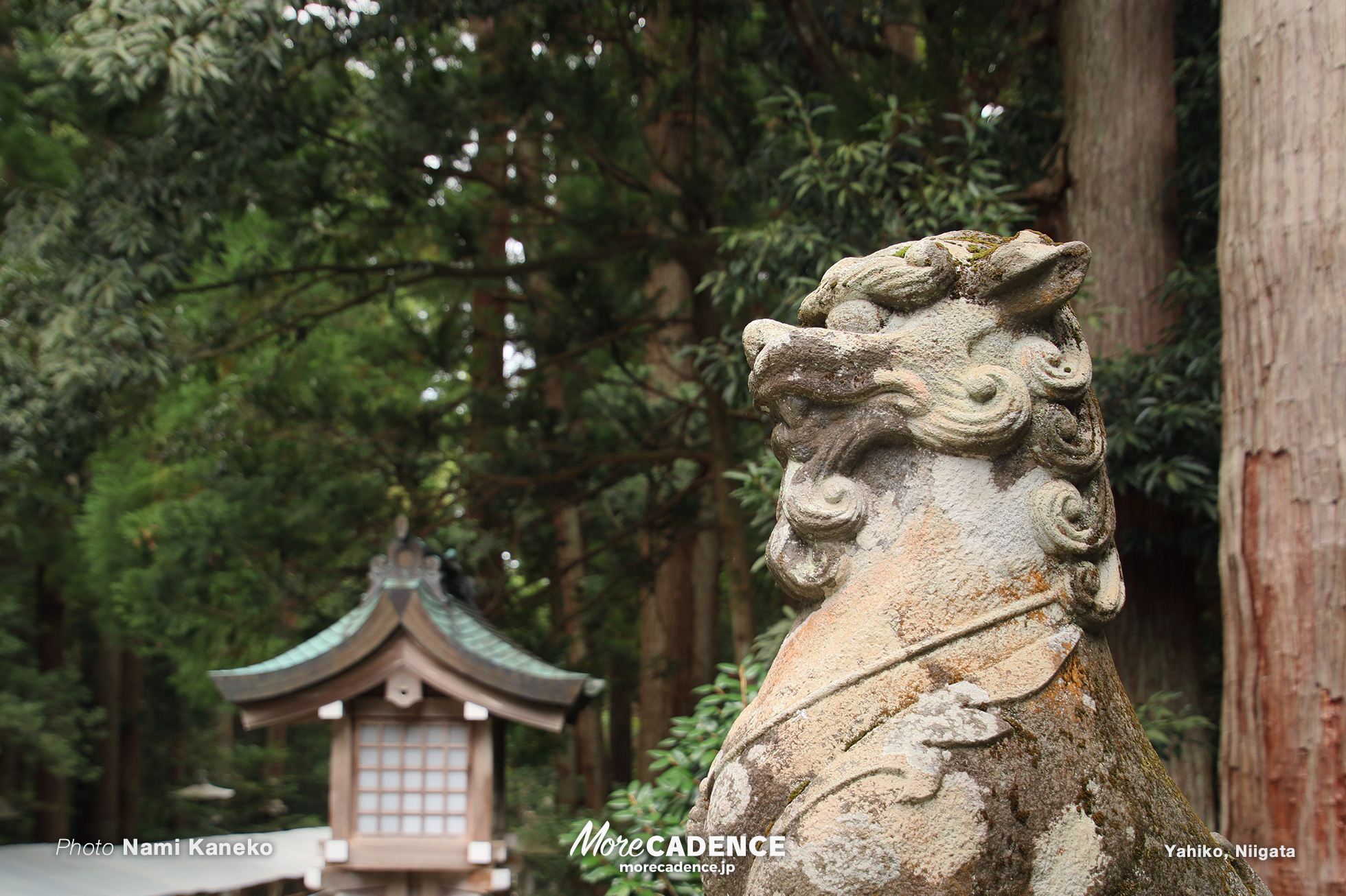 彌彦神社, 行ってみよう競輪場 弥彦編