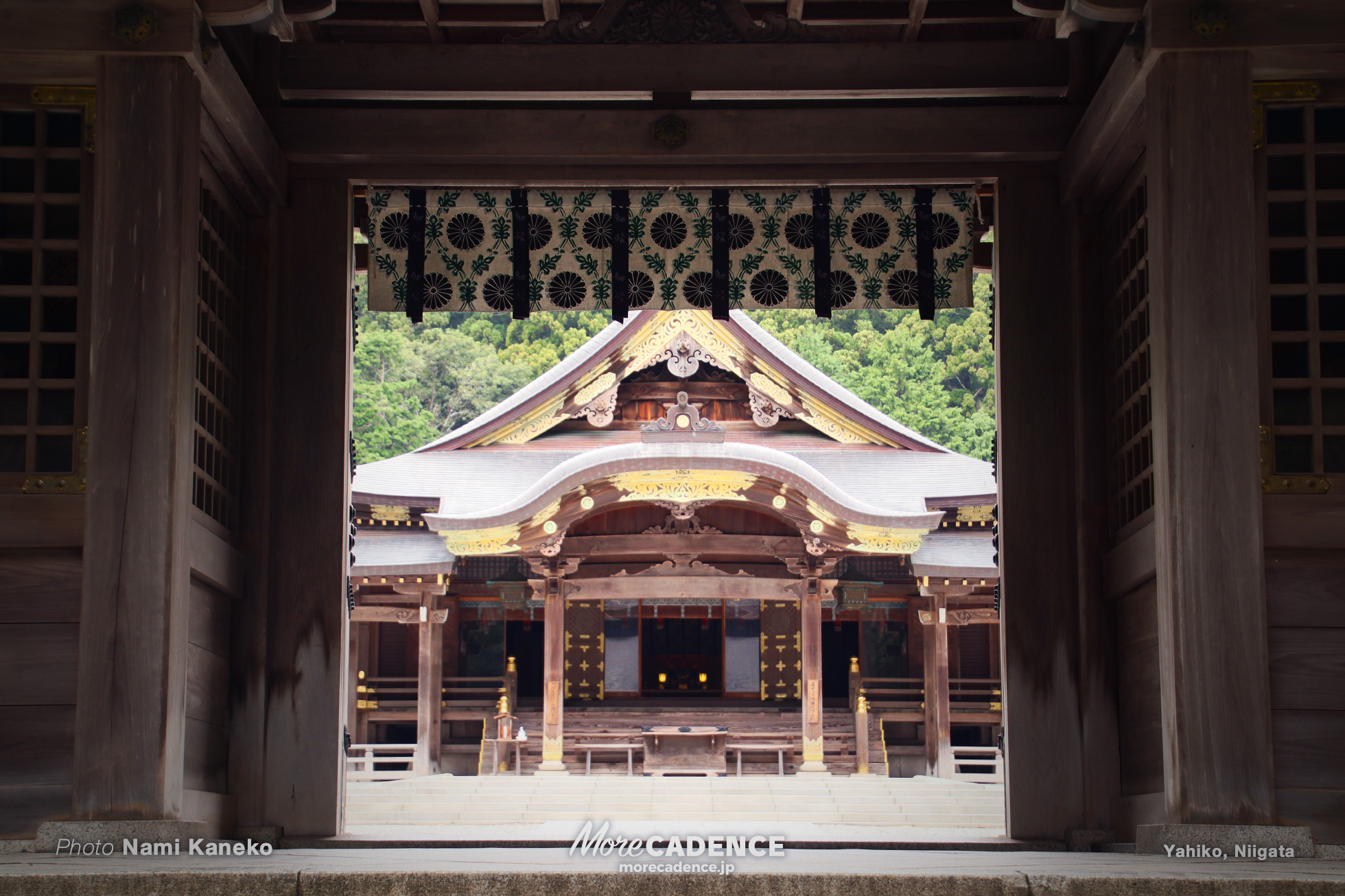 彌彦神社, 行ってみよう競輪場 弥彦編