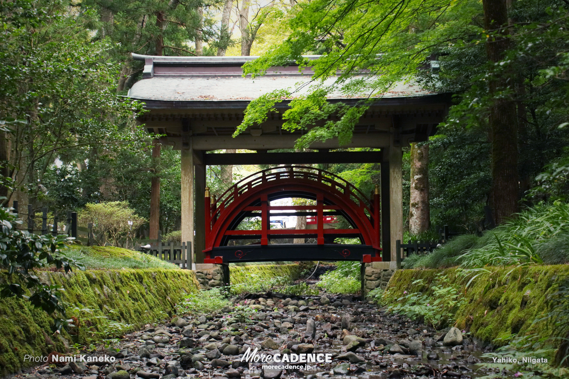 彌彦神社, 行ってみよう競輪場 弥彦編