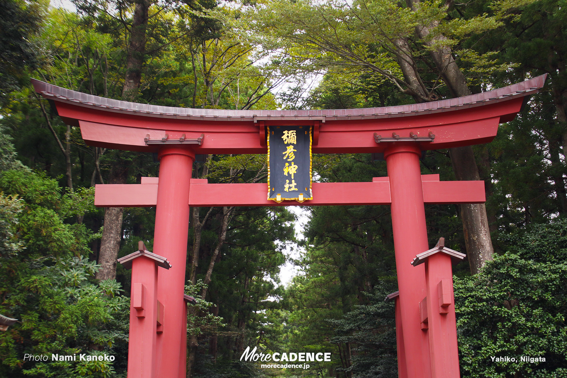 彌彦神社, 行ってみよう競輪場 弥彦編