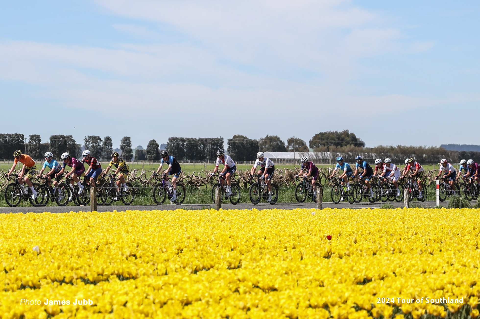 2024 Tour of Southland Stage 5