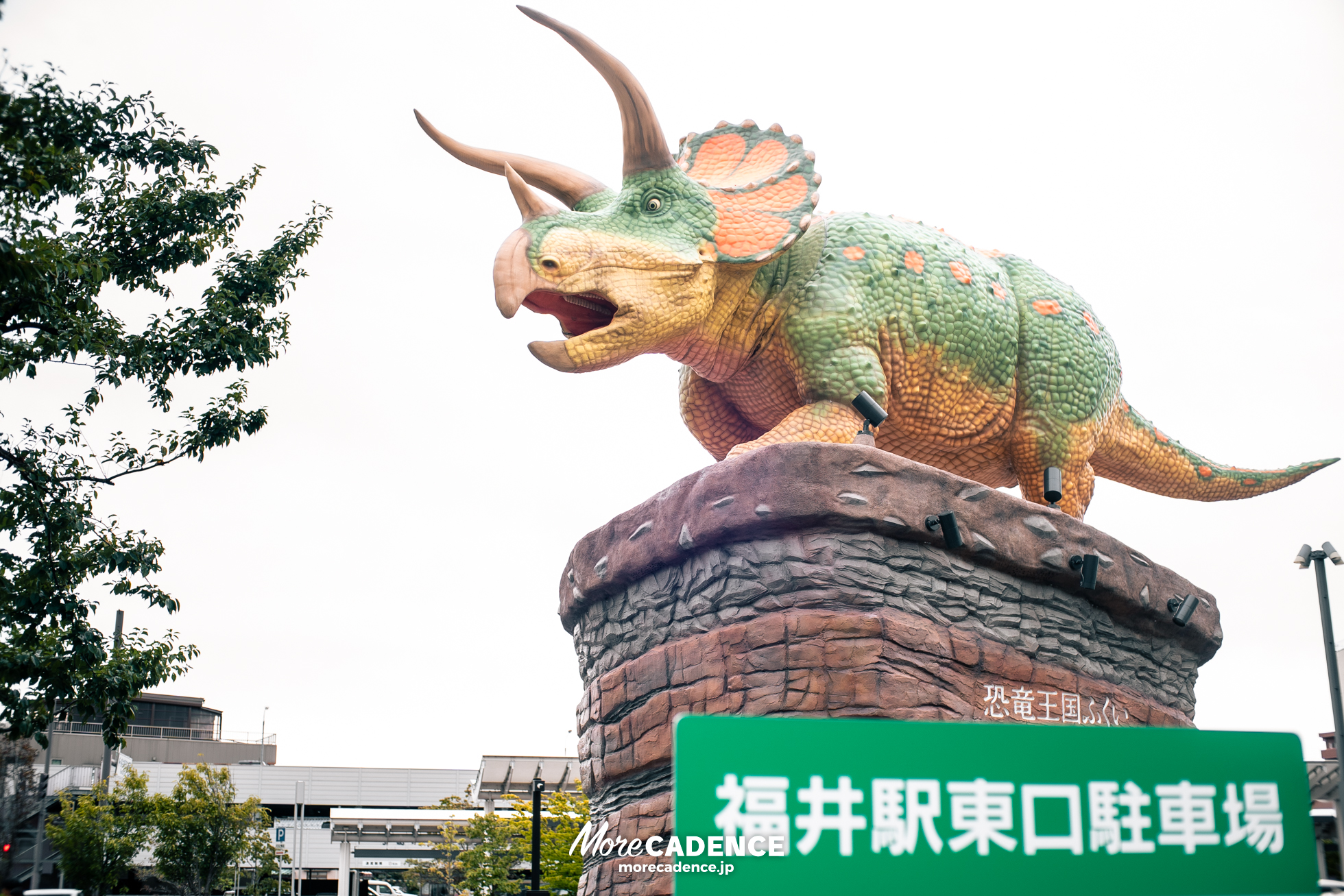第41回共同通信社杯競輪, 福井競輪場