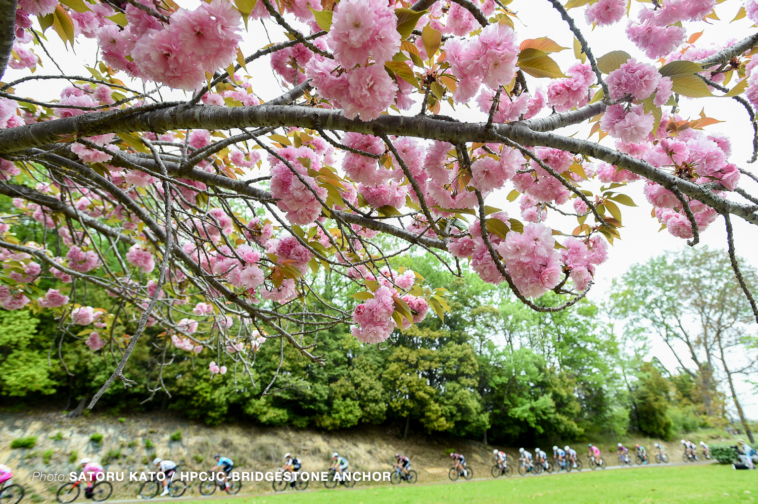第60回 西日本ロードクラシック』